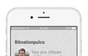 Bitnation screenshot 3