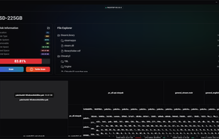 Disk Usage Explorer
The Disks feature allows you to perform disk analysis on available disks.