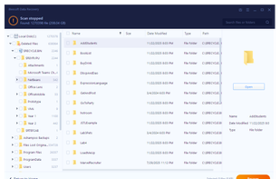 iBeesoft Data Recovery screenshot 1