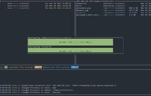 termscp screenshot 1