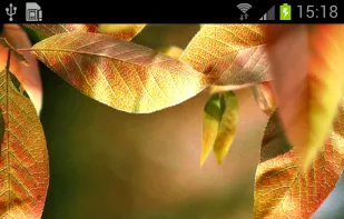 Fresh Leaves screenshot 1