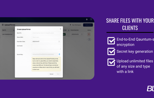 BLAZE Transfer screenshot 2