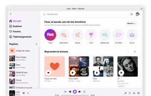 Deezer for Linux screenshot 1