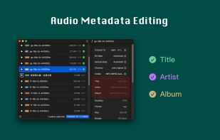 Audioer screenshot 2