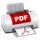 Bullzip PDF Printer icon