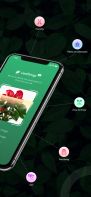 LeafSnap Plant Identification screenshot 2