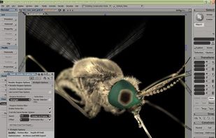 Autodesk Softimage screenshot 1