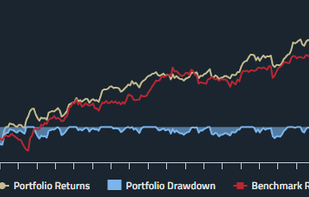 Diversify Portfolio screenshot 1
