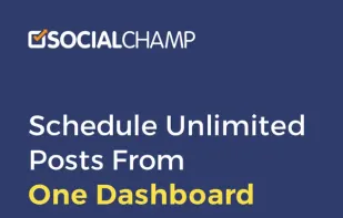 Social Champ screenshot 1