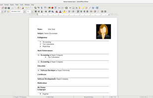 CVAssistant screenshot 2