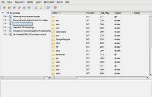 RapidSVN Screenshot