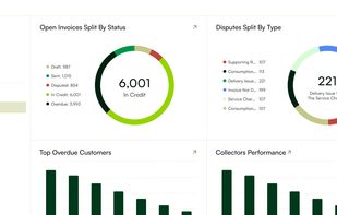 Reports & Analytics
