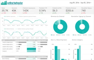 Sample dashboard, showing KPIs and custom branding in the report
