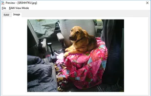 Preview generated from file stream! WYSIWYG!