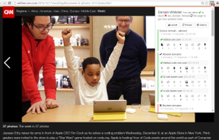 Domain Whitelist screenshot 1