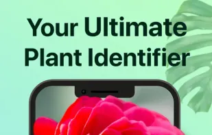 PictureThis screenshot 1