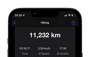 View your workout progress