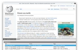 Nyxt browser screenshot 2