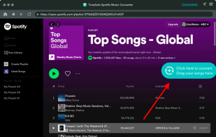 Select Spotify Songs to Convert