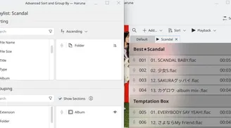 Haruna 1.7.0 introduces playlist grouping, improved bugfixes, and Hana integration image
