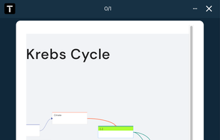 Visual map occlusion flashcards