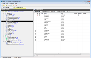 SQLite Query screenshot 1