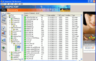 PC INSPECTOR File Recovery screenshot 1
