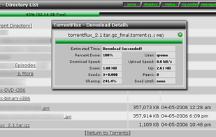 TorrentFlux screenshot 1
