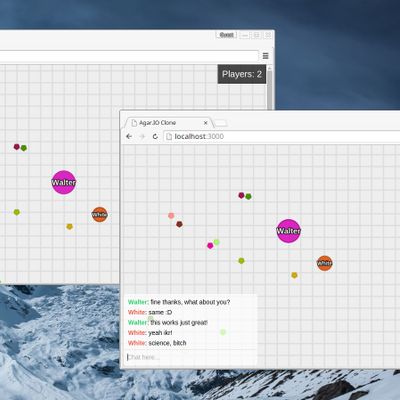 A clone of the game Agar.io used for this research. The player has