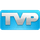 TVPaint Animation icon