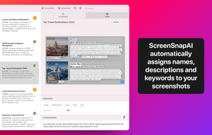 ScreenSnapAI screenshot 3