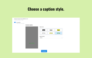 Choose a caption style.