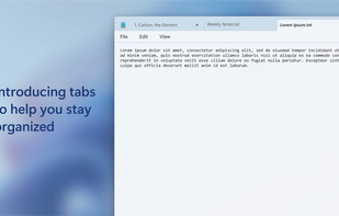 Windows Notepad screenshot 1