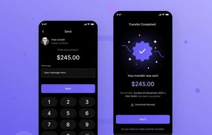Neobank Software screenshot 1