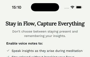 Voice notes to capture meditation insights