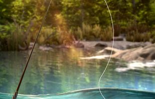 Go Fishing! screenshot 3