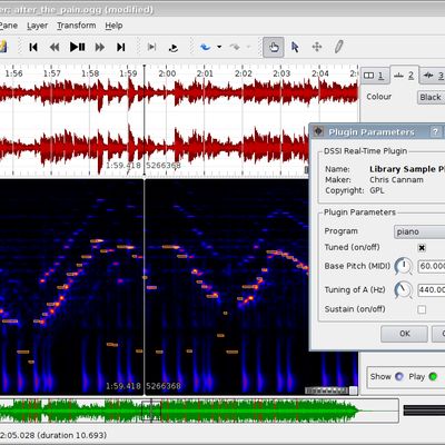 Sonic Visualiser 1.0 showing a waveform pane and a melodic range spectrogram pane.