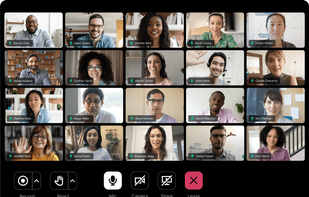 GoTo Meeting screenshot 1