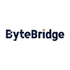 ByteBridge icon