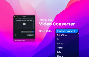 Video Converter screenshot 1