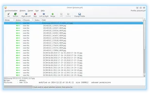 Unison File Synchronizer screenshot 1