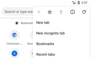 Bromite screenshot 2