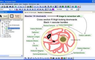 RecallPlus screenshot 1