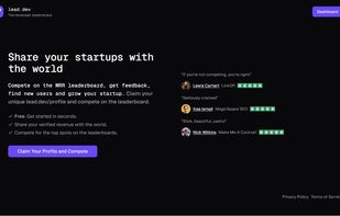 lead.dev screenshot 1