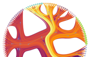 Statistical inference of modular network structure