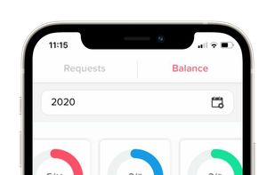 Employee's balance and requests history
