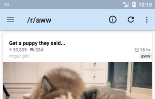 rif is fun screenshot 2