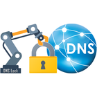 DNS Lock