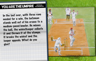 You Are The Umpire screenshot 1