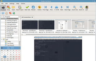 Productive Peach screenshot 1